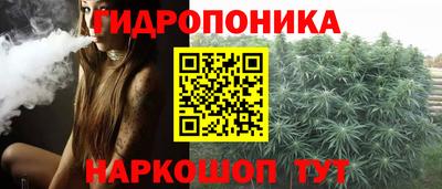 скорость Пугачёв